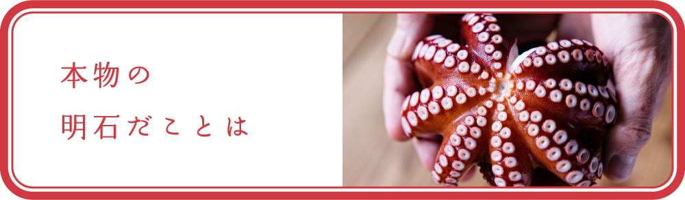 本物の明石だことは